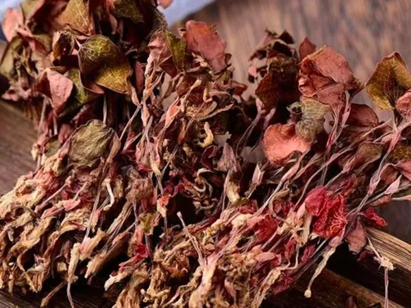 Super Grade Sušený Anoectochilus Roxburghii přichází na speciální trhy