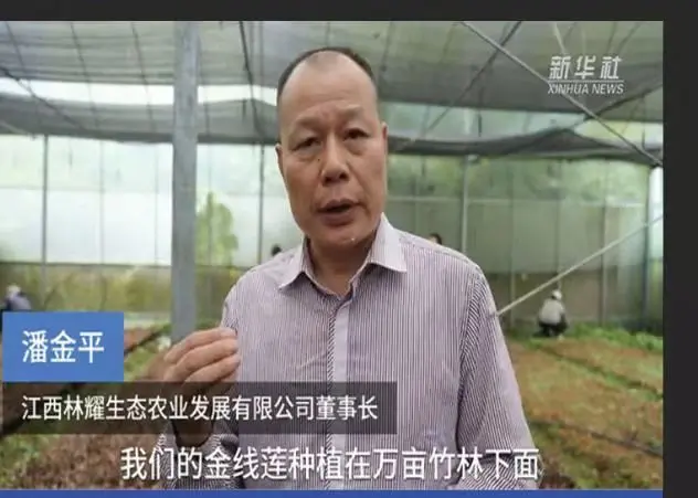 Pan Jinping, předseda společnosti Jiangxi Linyao Ecological Agriculture Development Co., Ltd., v rozhovoru pro agenturu Xinhua News Agency